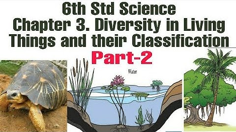 6th std science 3 diversity in living things and their classification Part-2l explanation in marathi