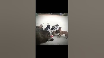 bài học rút ra là?:)