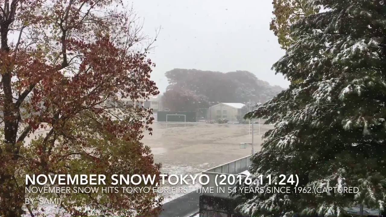 November Snow, Tokyo in 54 Years since 1962(2016.11.24)