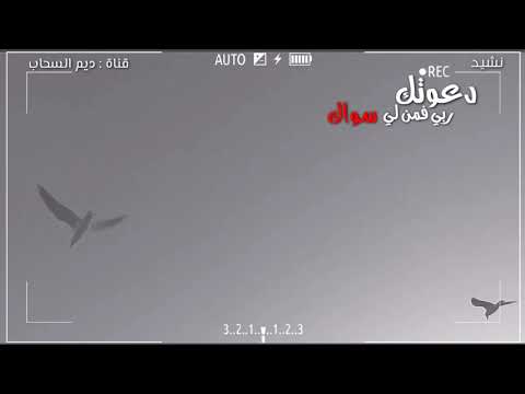 نشيد دعوتك ربي فمن لي سواك 