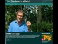 Monty Don sowing wildflower meadow Gardeners World August 2019