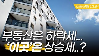 하반기 부동산 시장, 지금 이곳이 뜨는 이유 (아는선배 clip. 21.11.18. 방송분)