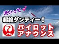 超ダンディー！渋い 声のJALパイロットイケている JAL124便 パイロットアナウンス【IBA飛行機】