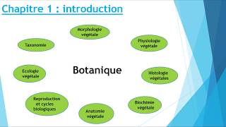 biologie végétale screenshot 2