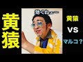 【ONE PIECE 】黄猿vsマルコ?【Kizaru vs Red pepper】