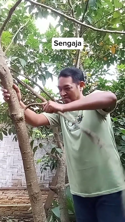 kayaknya ada unsur sengaja ini #short #shortsfeed #shortvideo #shorts #shortsviral #komedi