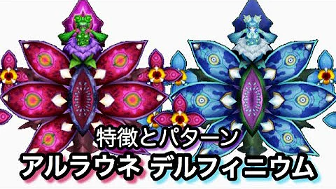 ダグラス2 ボス