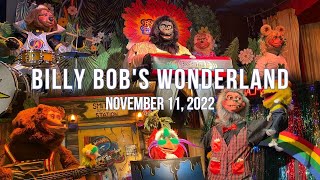 Billy Bobs Wonderland Live Photo Snippets (November 11, 2022)