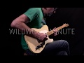 Peter Green Inspired Lick  •  Wildwood Guitars