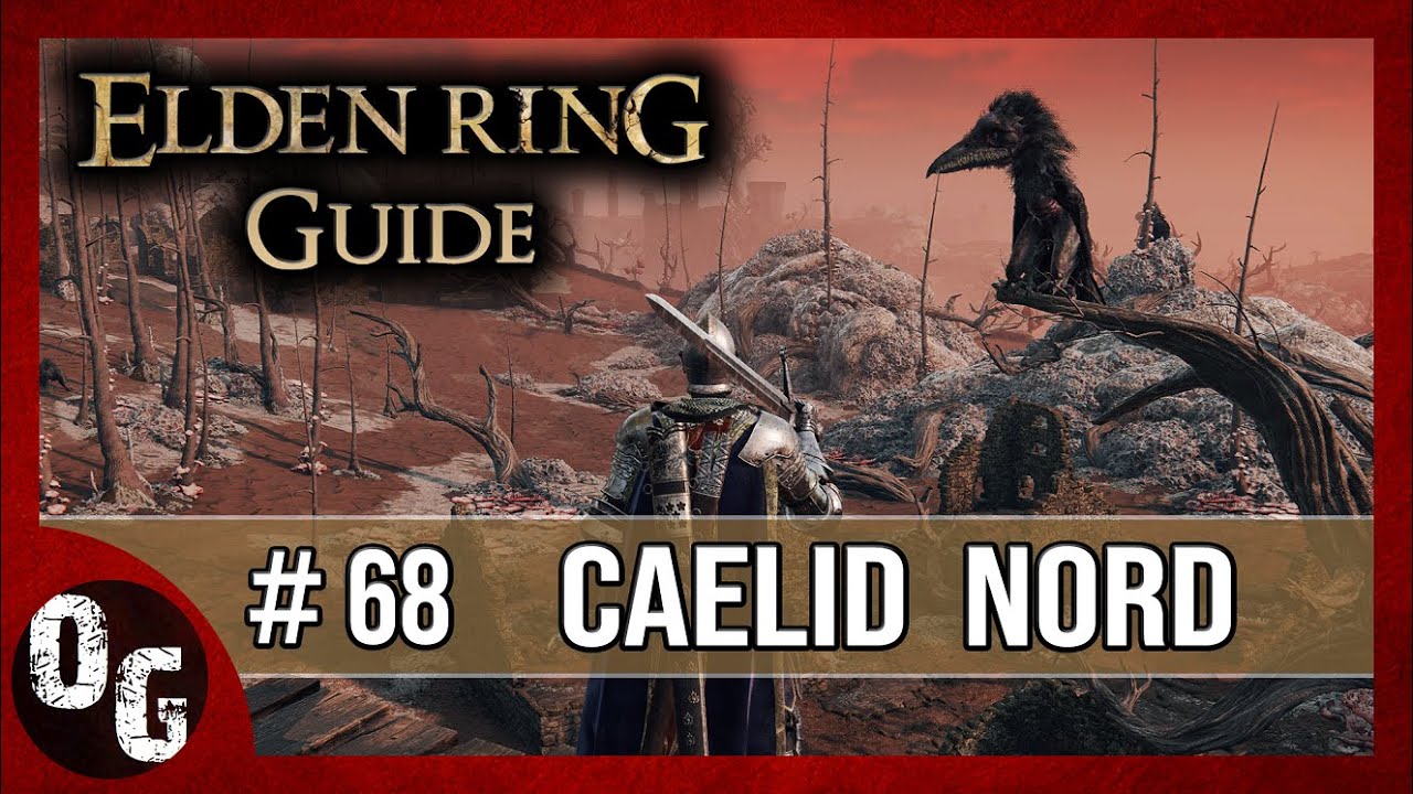  FR Guide Elden Ring Caelid Nord Greyoll Le Dragon G ant Endormi 