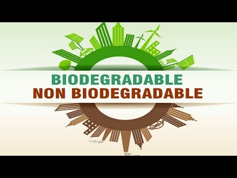 Video: Tas biodegradable - produksi untuk kepentingan alam