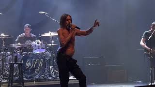 Iggy Pop &amp; The Losers - Comments  - LA 24/4/23