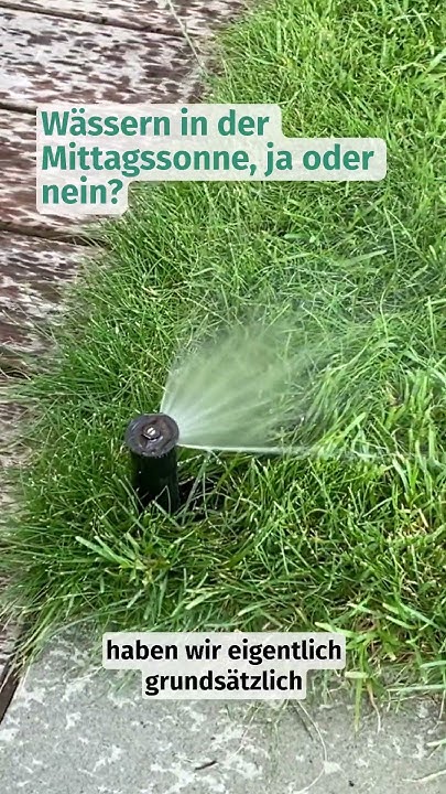 Wässern in der Mittagssonne, ja oder nein?☀️ foryou lawn bewäsern
