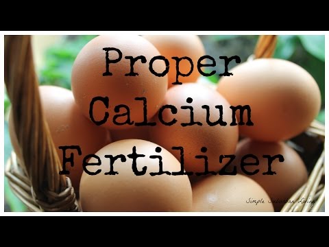 Calcium Fertilizer for Your Garden, Aquaponics, or Hydroponics System