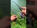 Fishing #lure#bass