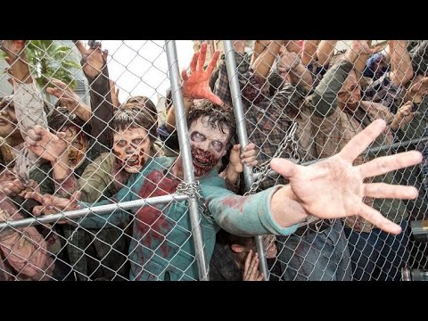 Just in case: CDC shares tips on surviving a zombie apocalypse | FOX 5 DC 