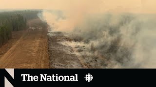 Alberta could be headed for active fire season, experts say screenshot 5