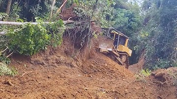 The Easiest Way To Clean Abandoned Plantations Using a Dozer, CAT D6R The Most Suitable Dozer