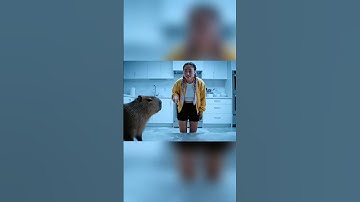 Capybara bị ghét không cho chơi trượt băng ké #trending #capybara #phimhoạthình #ytshorts