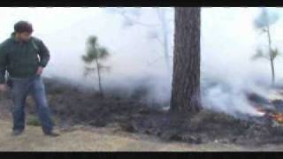 Control Burning at Moore Farms