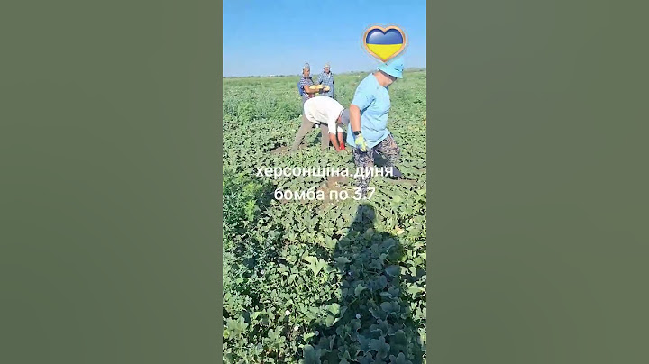 Melons from the fields of Kherson region. Price 3 UAH. 70 kopecks.