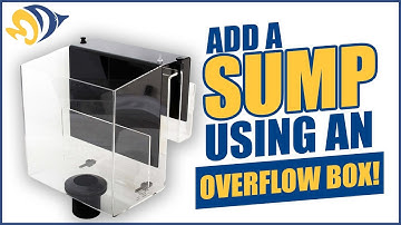 Add a Sump to Your Reef Tank Using an Overflow Box