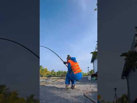 Câu cá hồ Bull Arena Bà Rịa. Toàn cá khủng | VY HAN FISHING