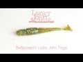 Виброхвост Lucky John Tioga Тест под водой