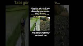 Kısa Whatsapp Durum Videoları