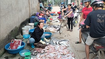  Hồ Thủy Điện Thác Bà Xả Lũ, Chợ Sép Toàn Cá Trắm Đen,Ngạnh, Hoàng Đế Khủng 