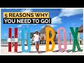 Top 5 reasons to visit Holbox Mexico! | Beautiful beaches, chill vibe, amazing food and more!
