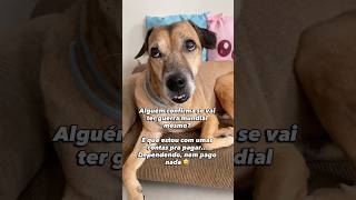 Alguém sabe me responder? 😂 #cachorrosdivertidos
