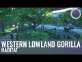 Western Lowland Gorilla Habitat | Malu Zoo | Speed Build | Planet Zoo | Ep. 17