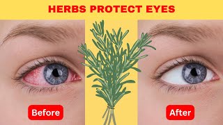 8 Herbs to Protect Eyes and Repair Vision