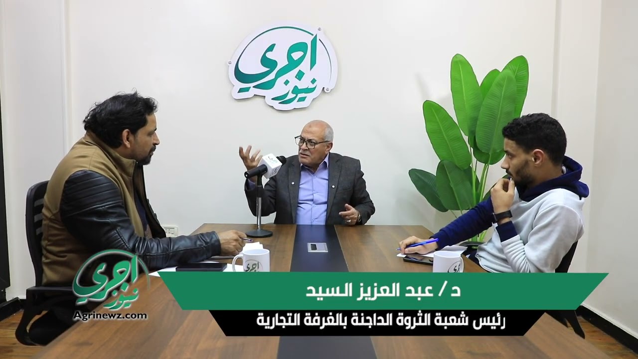 رئيس شعبة الدواجن عبد العزيز السيد