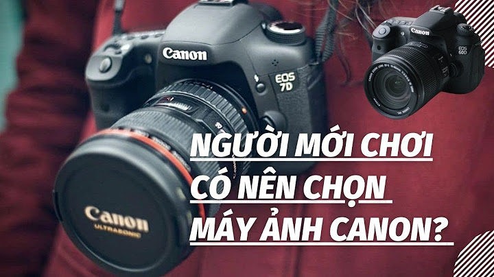 Nên chọn máy ảnh nào cho người mới