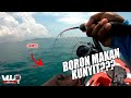 Trip Memburu Boron guna Ikan Kunyit?? - VLUQ#124 - Kayak Fishing Malaysia