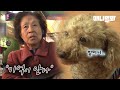 치매에 걸려 집에 가는 길마저 잊은 할머니가 절대 잊지않는 한 가지ㅣA Beautiful Journey Of Granny With Dementia And A Disabled Dog