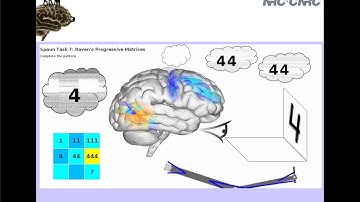 Nengo and the Neural Engineering Framework - Lecture3b