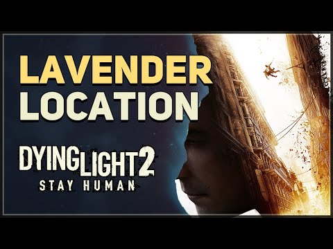 Lavender Location Dying Light 2