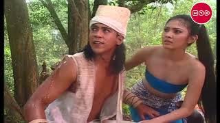 Looking for a Giant Beehive for Dadung's Healing - Jaka Tingkir