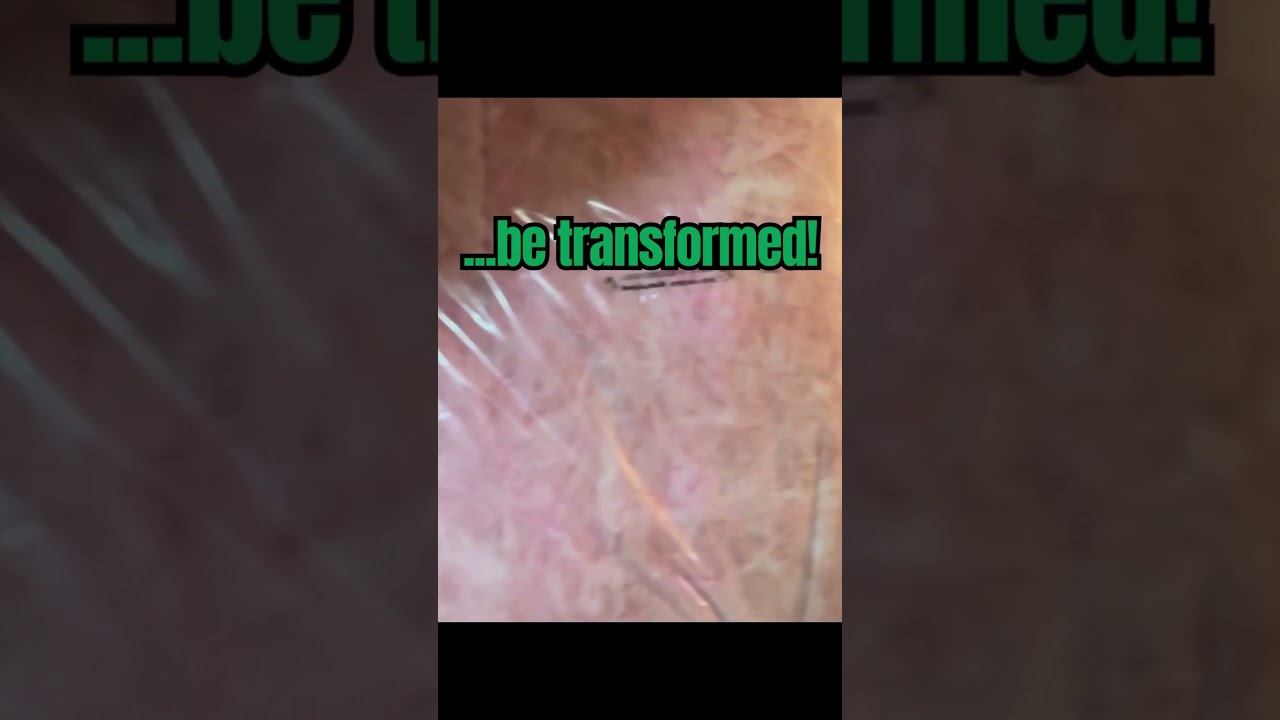 Basement insulation - rat's nest to success!