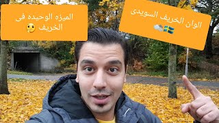 Vlog ايه الميزه الوحيده للخريف السويدى ؟?????????