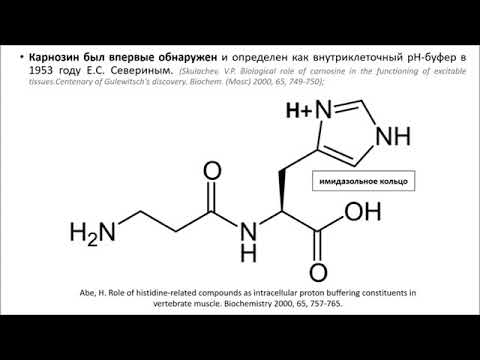 Бета аланин при климаксе инструкция цена. Бета аланин при климаксе. Бета аланин таблетки при климаксе. Бета аланин гистидин формула. B аланин препарат.