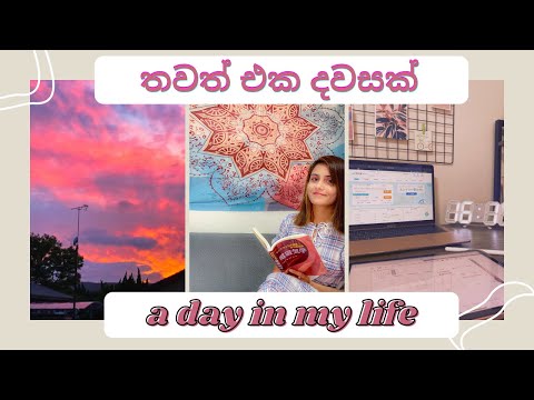 LIFE IN JAPAN 🇯🇵 | මගේ ජිවිතයෙන් තවත් එක දවසක් | A DAY IN MY LIFE | ONLINE LECTURES | STUDYING |