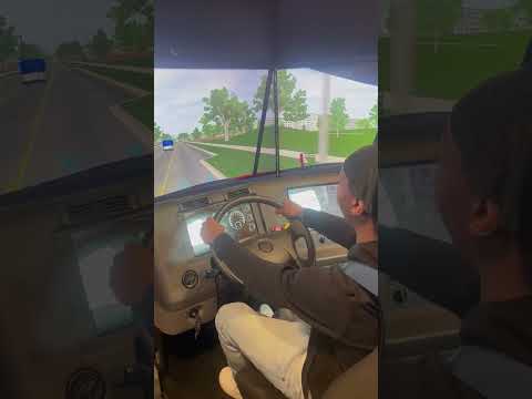 HIT and RUN in Truck Driving Sim!!!