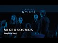 Laughing song  mikrokosmos