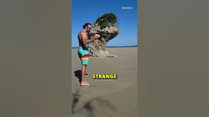 He Found a Glitch in the Matrix