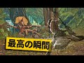 【最高の瞬間30選】未確認装衣『ステルス迷彩』に遭遇する瞬間!!神業面白プレイ最高の瞬間！【モンハンワイルズ/Monster Hunter】
