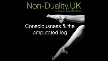 Consciousness & the amputated leg - bite size 61